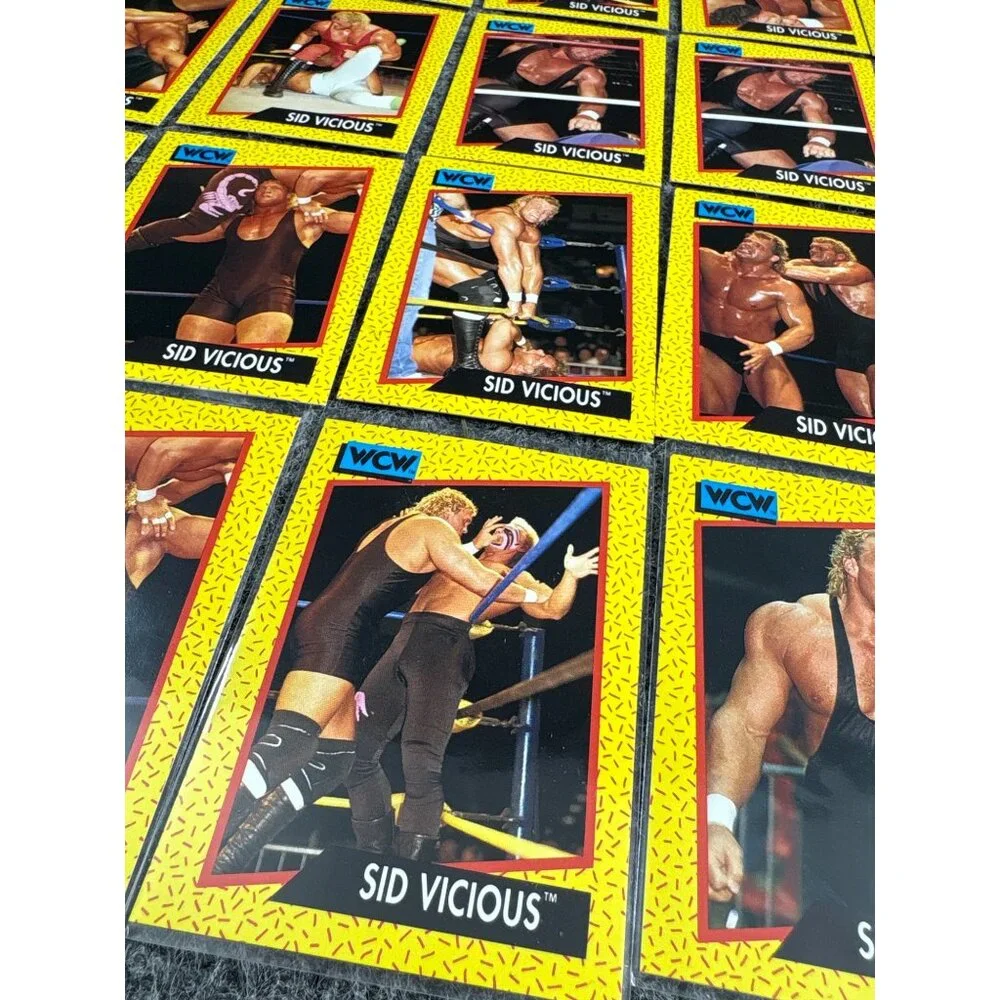 WCW 1991 Sid Vicious Trading Card Set